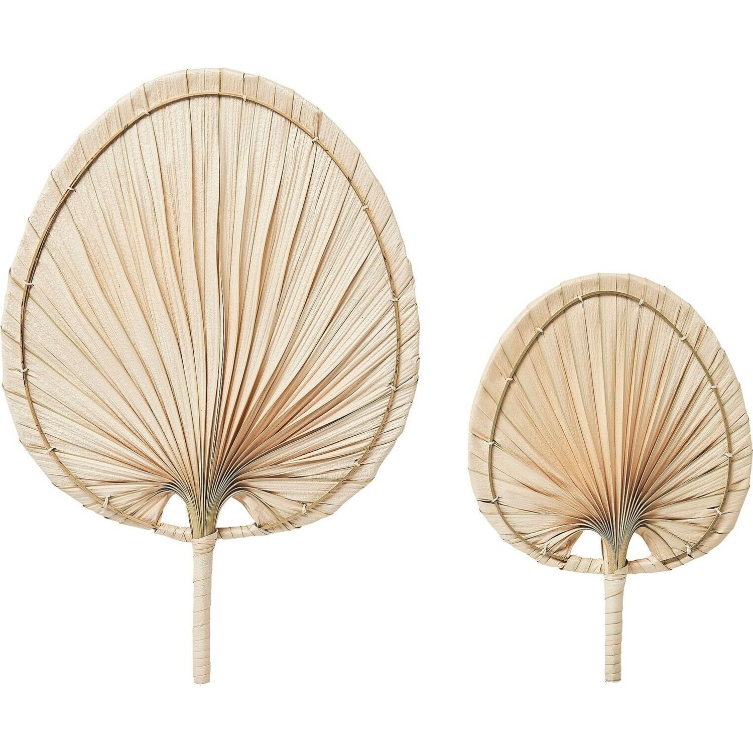 OLP302L SPES PALMİYE DEKOR 40X52CM OIA LIGHT