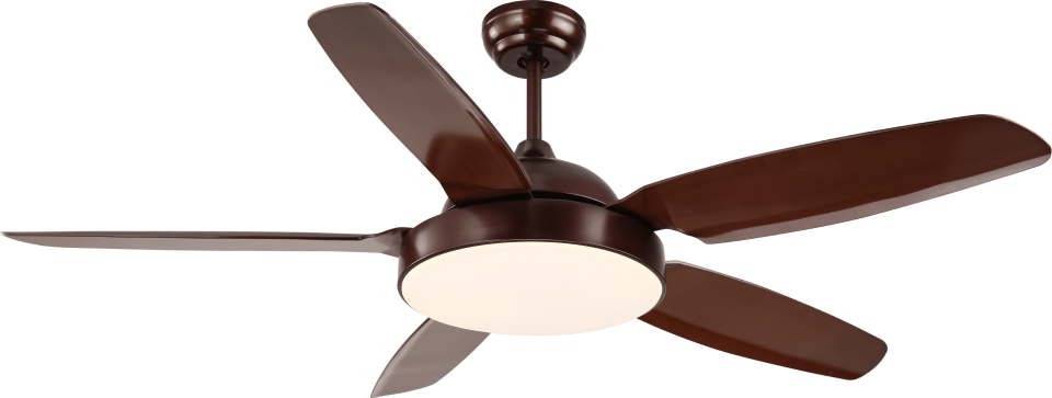 52BR1001 TAVAN VANT. K.RENGİ 5KNT LAMBALI OIALIGHT