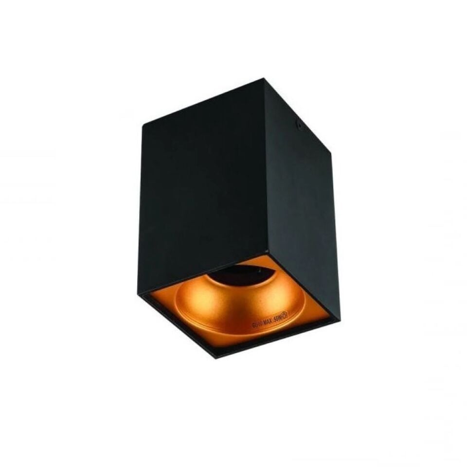 CT-5420 BERGAMA SİYAH/GOLD TAVAN ARM CATA