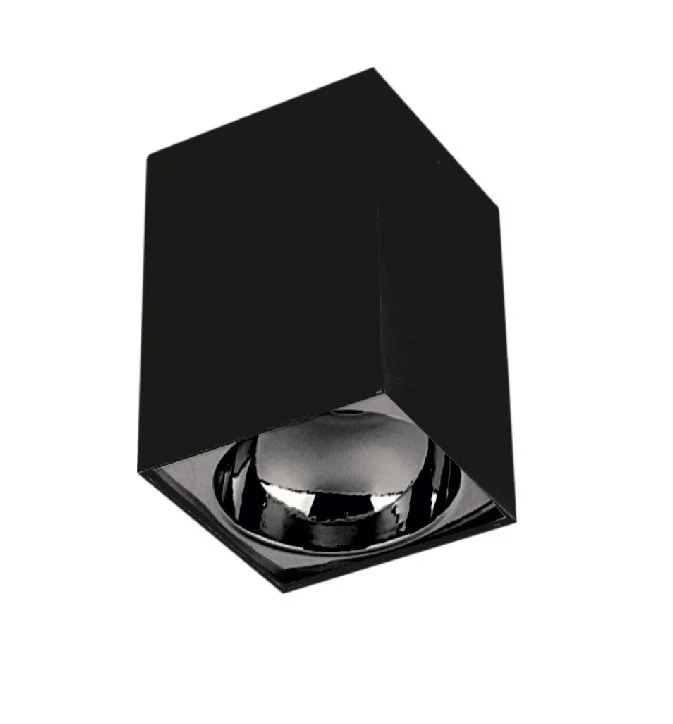 CT-5420 BERGAMA SİYAH/PLATİN TAVAN ARMATÜRÜ CATA