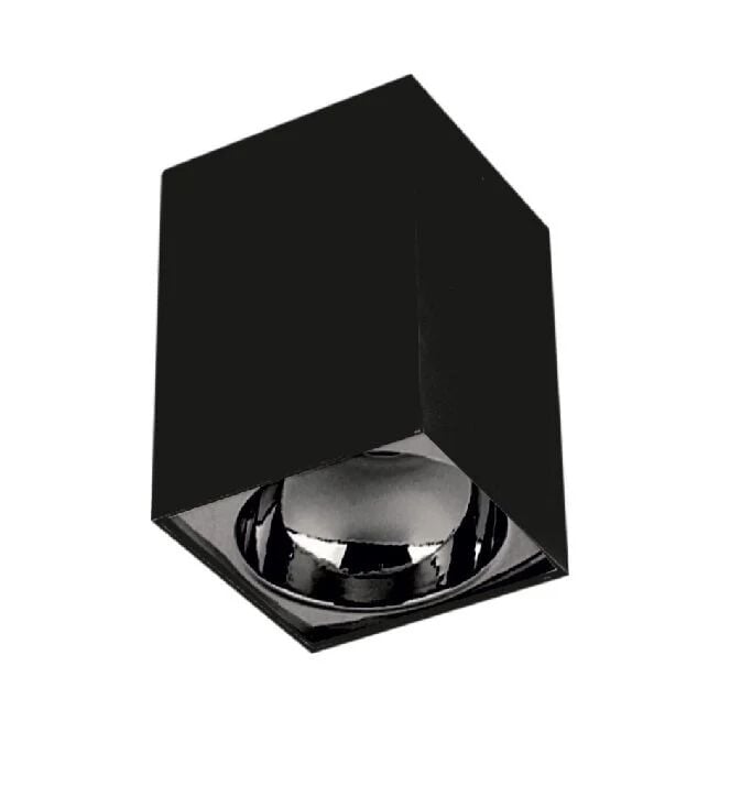 CT-5420 BERGAMA SİYAH/PLATİN TAVAN ARMATÜRÜ CATA