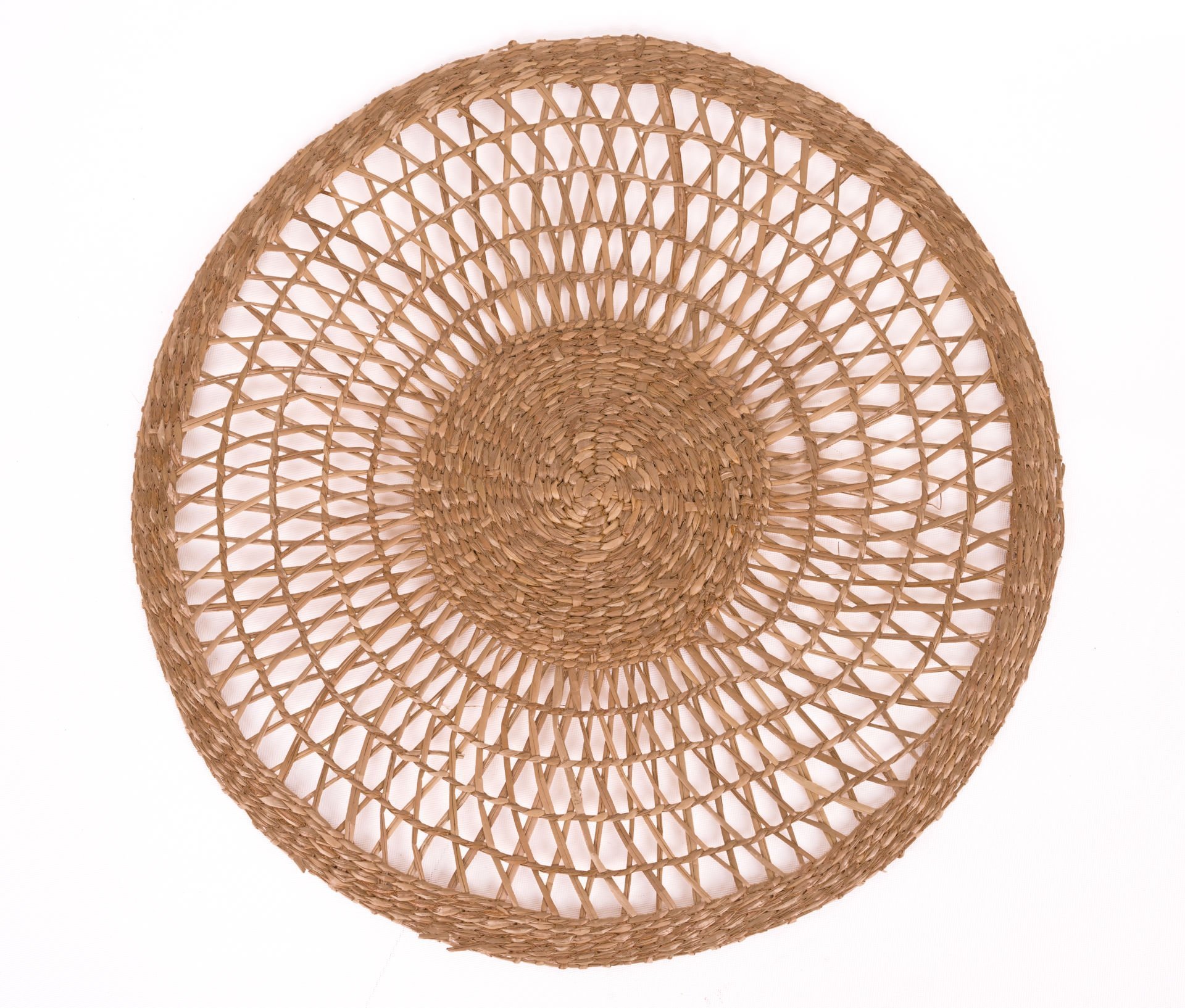 OLS43 ASTER DENİZ SAZI 36 CM DEKOR