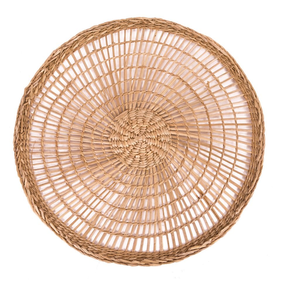 OLS44 MOSS DENİZ SAZI DEKORASYON 38 CM OIA LIGHT