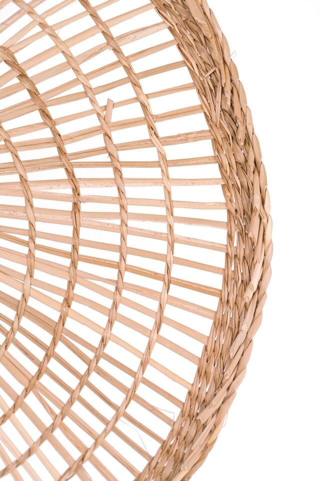 OLS44 MOSS DENİZ SAZI DEKORASYON 38 CM OIA LIGHT