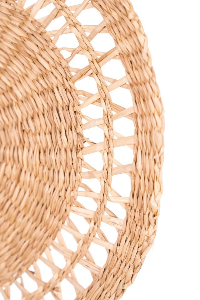 OLS47 FLOW DENİZ SAZI 35 CM DEKOR