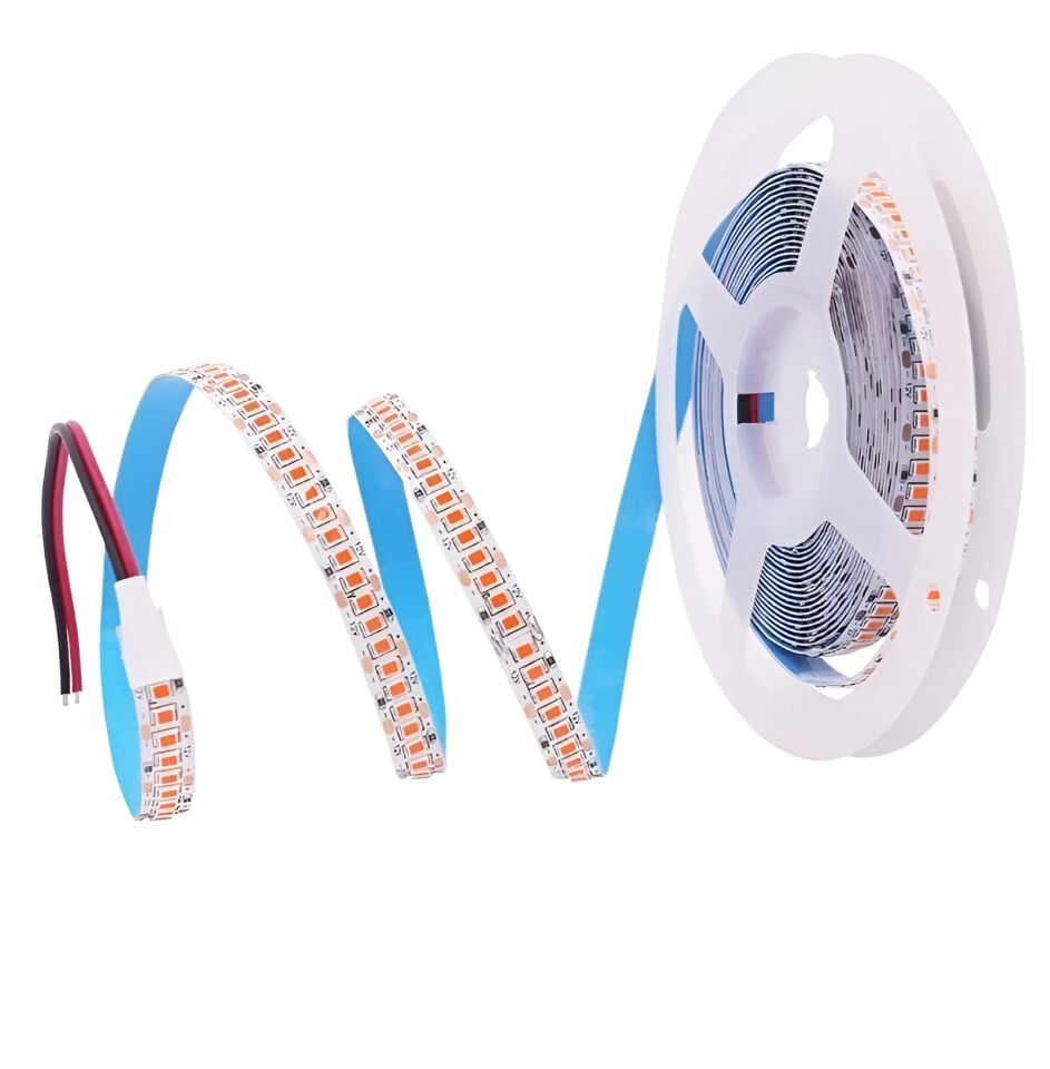 240 ÇİP İÇ MEKAN GÜNIŞIĞI CATA