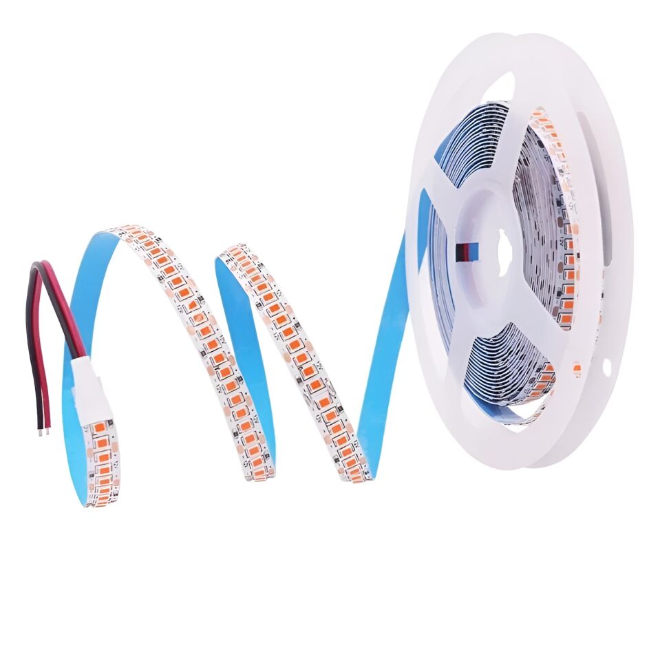 240 ÇİP İÇ MEKAN GÜNIŞIĞI CATA