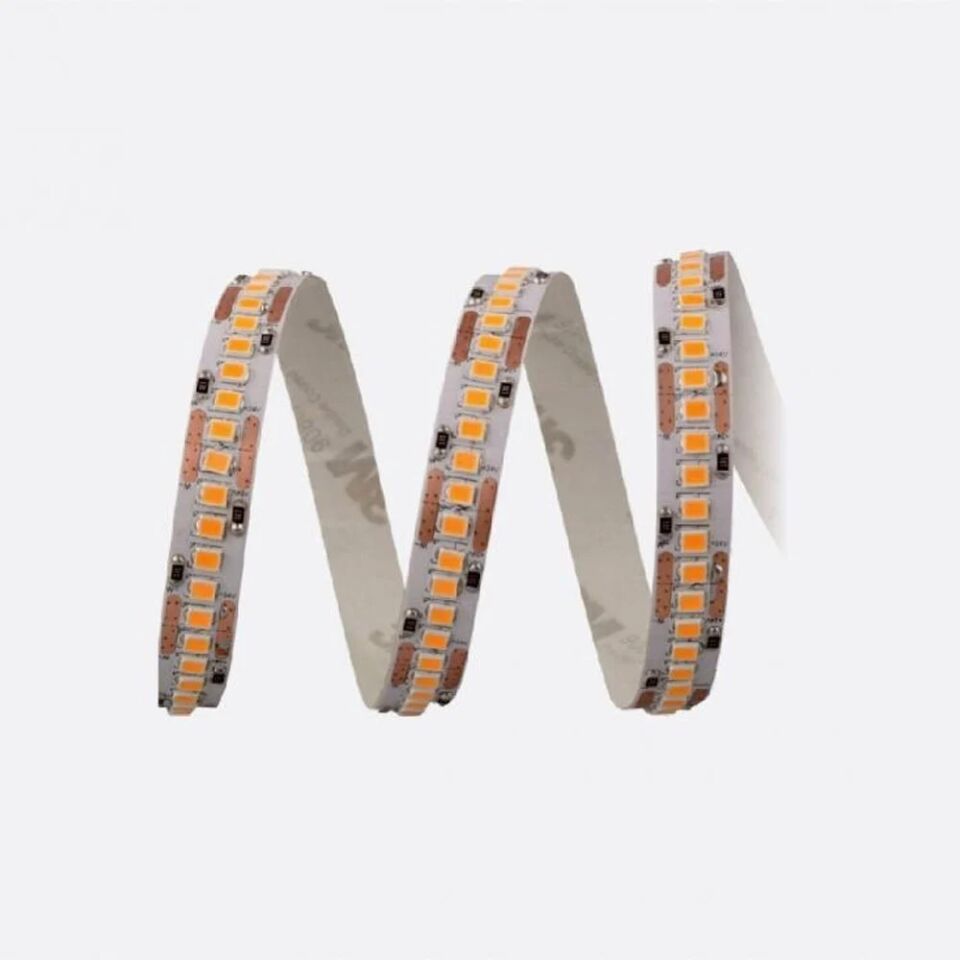 240 ÇİP İÇ MEKAN GÜNIŞIĞI CATA