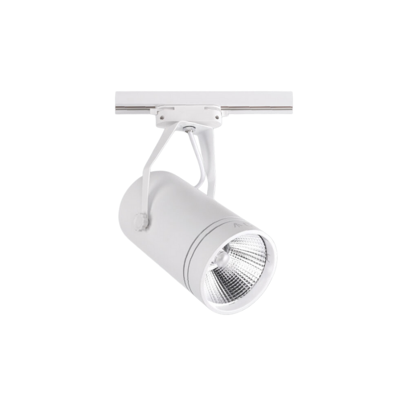 RAY SPOT ARMATÜRÜ 30W BEYAZ KASA 3000K ACK