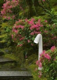 STEVEN GREY FROSTED G9 LED 1,7W 3K