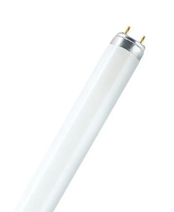 36W/82 98CM LUMILUX T8 FLORESAN AMPÜL OSRAM