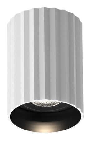 JC081 BEYAZ/SİYAH KASA TAVAN ARMATÜRÜ JUPİTER