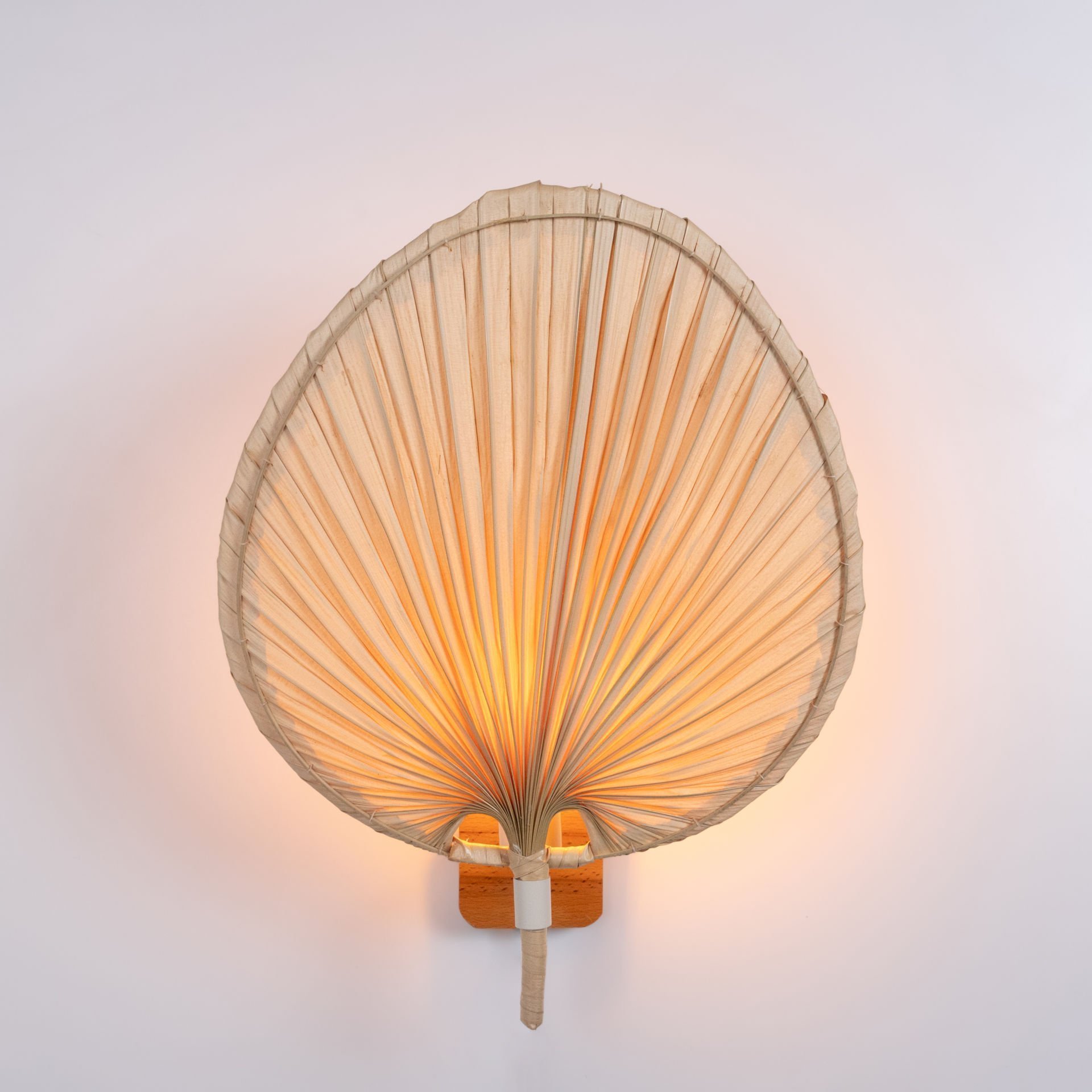 OLP302A/L SPES PALMİYE APLİK OIA LIGHT