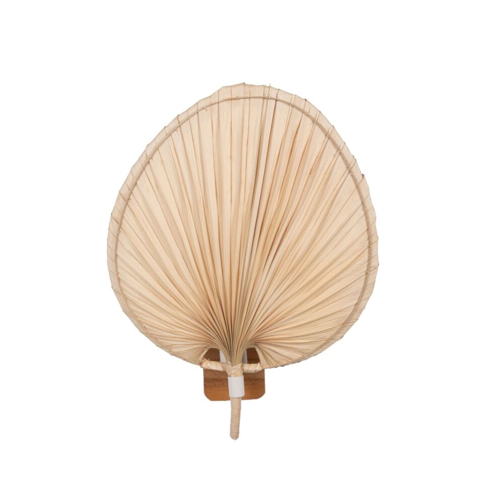 OLP302A/L SPES PALMİYE APLİK OIA LIGHT