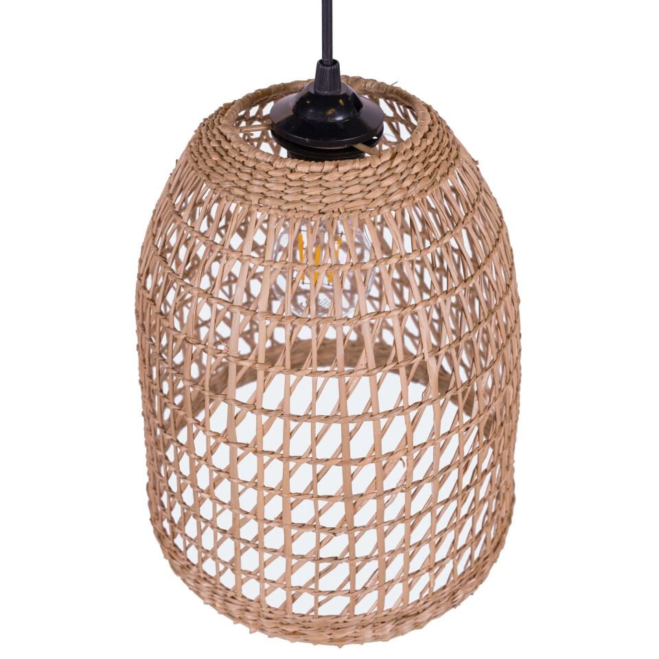 OLS09 SPİDER DENİZ SAZI SARKIT 25X27 OIA LIGHT