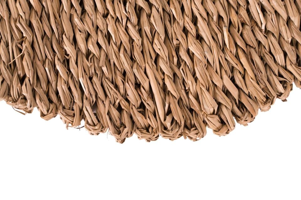 OLS26 LAURA DENİZ SAZI 43X30CM DEKOR