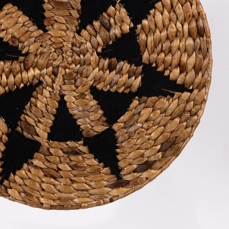 ASKLEPİOS SU SÜMBÜLÜ DUVAR DEKORU Ç:38CM OIALIGHT