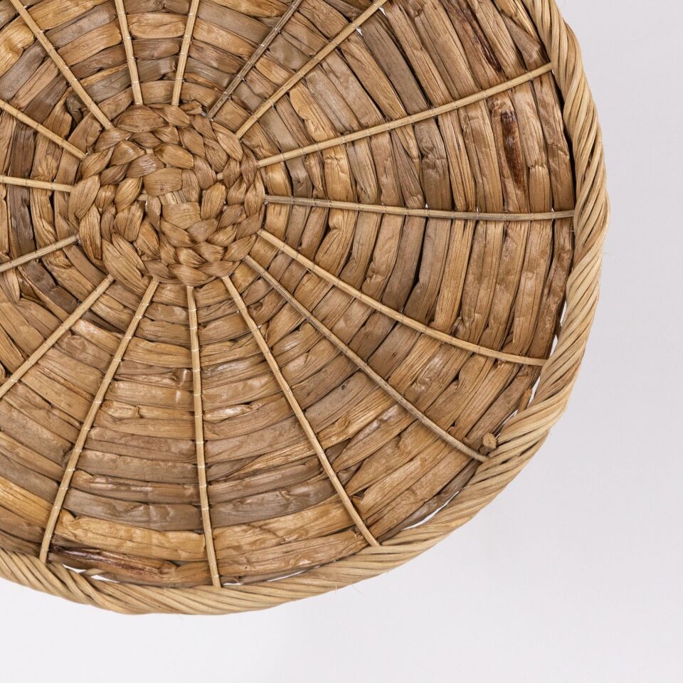 DRACO SU SÜMBÜLÜ VE RATTAN SUPLA Ç:38CM OIA LIGHT